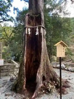 丹生川上神社（中社）(奈良県)