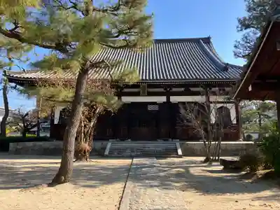 百萬遍知恩寺(京都府)