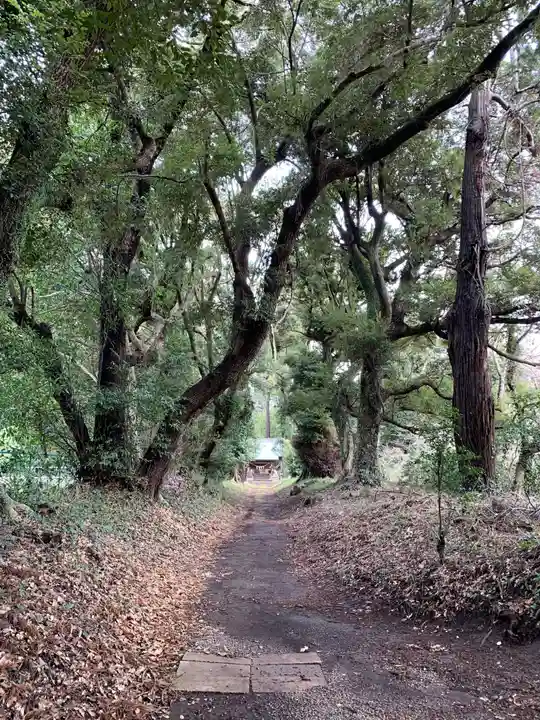 小鷹神社(千葉県)