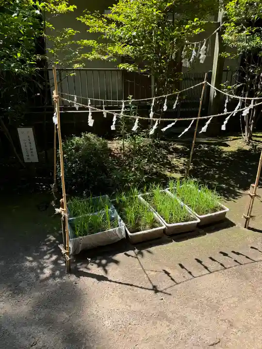 氷川女體神社(埼玉県)