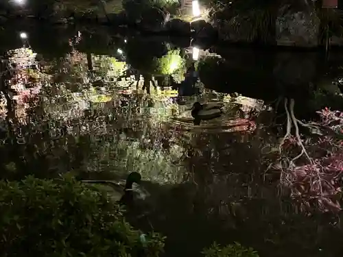 東寺（教王護国寺）(京都府)