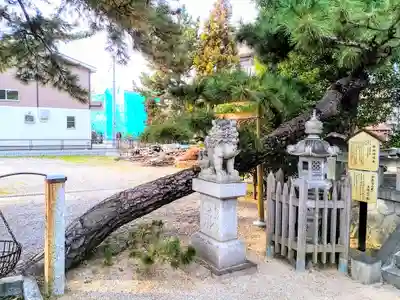 新林神明社の自然