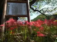 仏隆寺(奈良県)