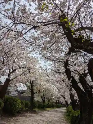 伊多波刀神社(愛知県)