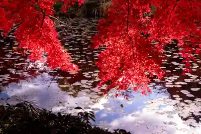 大原野神社(京都府)