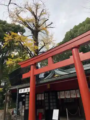 日枝神社の鳥居