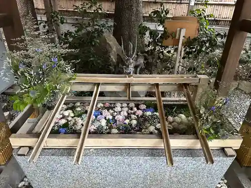 東京大神宮(東京都)