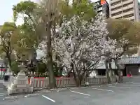 生田神社の{uncategorized: "未分類", other: "その他", undefined: "問題あり", building: "その他建物", grave: "お墓", sacred_gate: "鳥居", guardian: "狛犬", statue: "像", buddha: "仏像", history: "歴史", nature: "自然", garden: "庭園", animal: "動物", pagoda: "塔", temizu: "手水舎", mountain_gate: "山門・神門", sanctuary: "本殿・本堂", subordinate: "末社・摂社", art: "芸術", scenery: "景色", jizo: "地蔵", ema: "絵馬", goshuin: "御朱印", omikuji: "おみくじ", items: "授与品その他", amulet: "お守り", goshuincho: "御朱印帳", eats: "食事", festival: "お祭り", votive_dance: "神楽", shichigosan: "七五三参", wedding: "結婚式", experience: "体験その他", initially: "初詣", around: "周辺", anti_infection: "感染症対策"}