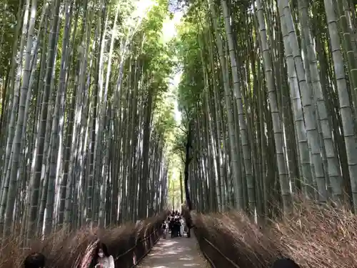 野宮神社(京都府)
