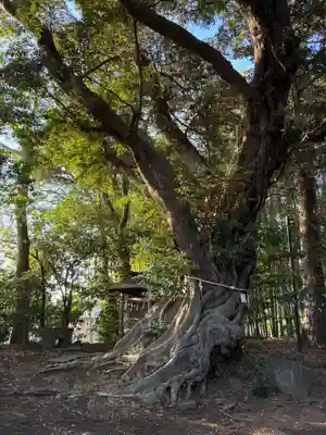 大井香取神社(千葉県)