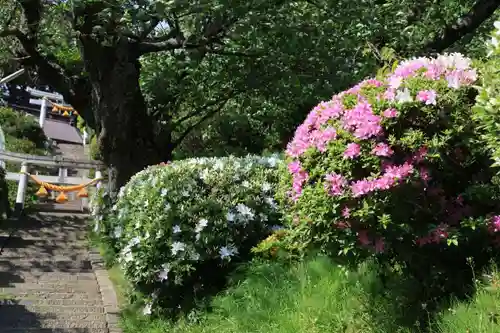 長屋神社の庭園