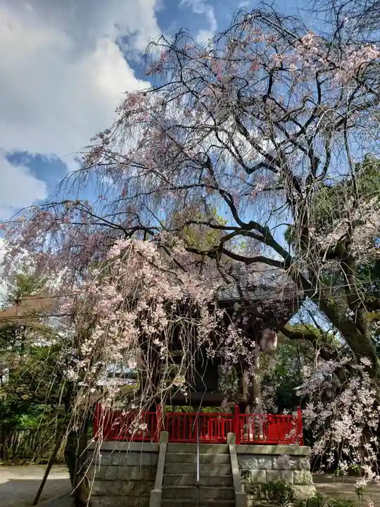 龍光寺(東京都)