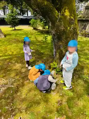 守りの神　藤基神社(新潟県)