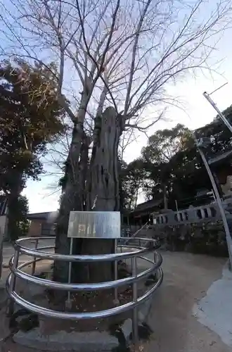 平野神社(福岡県)