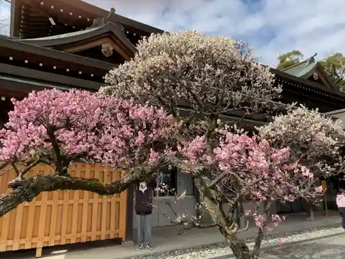 三嶋大社の自然