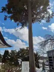 祥雲寺(岩手県)