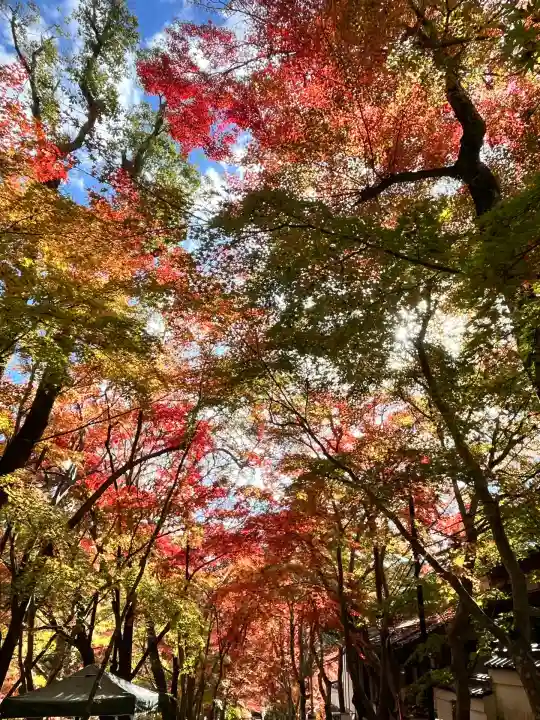 神峯山寺(大阪府)