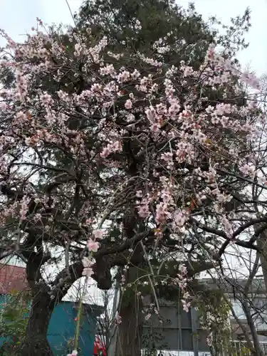 明光寺の庭園