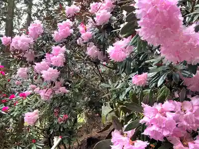 常光寺(長野県)