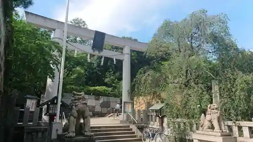 乃木神社の鳥居