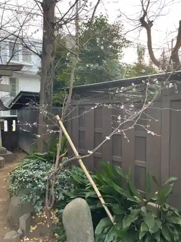 奥澤神社の庭園