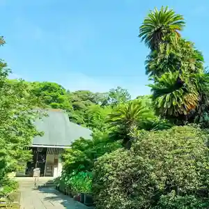 伊勢の国 四天王寺(三重県) 2024年08月01日(木)〜(2024年07月24日(水) 16時20分08秒投稿)