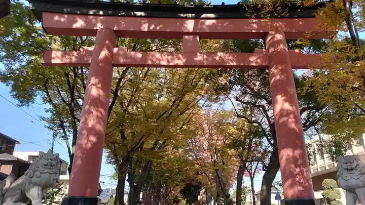 武蔵一宮氷川神社の鳥居