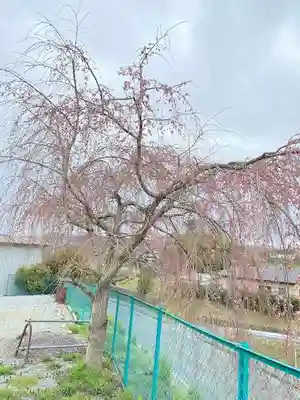 安養寺(福島県)