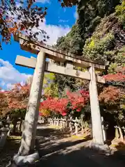 紅葉八幡宮(福岡県)