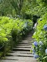 明月院(神奈川県)