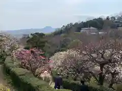 中山寺の自然