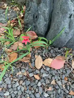 川原神社(愛知県)