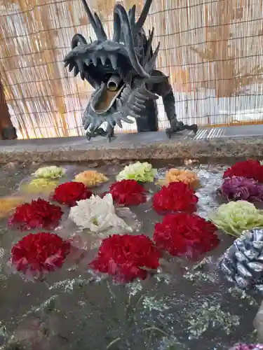 札幌諏訪神社の手水舎