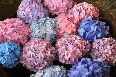 伊勢山皇大神宮の手水舎