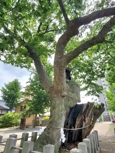 阿邪訶根神社(福島県)
