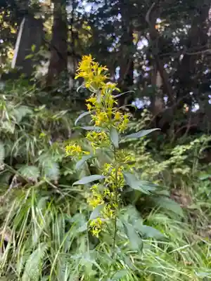 国上寺(新潟県)