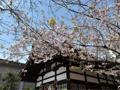 三輪神社(愛知県)