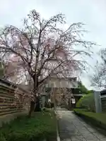 福蔵院(東京都)