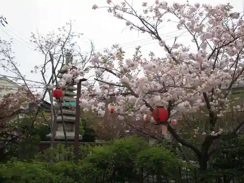 引接寺（千本ゑんま堂）の自然