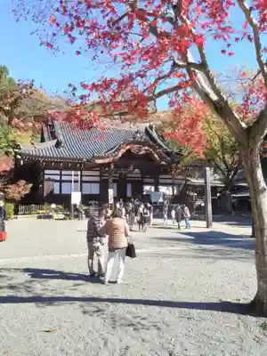 深大寺の本殿・本堂
