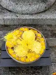 草加神社(埼玉県)