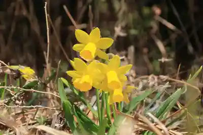 豊景神社の庭園