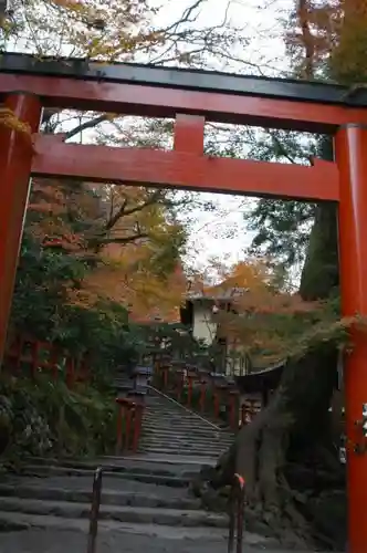 貴船神社の鳥居