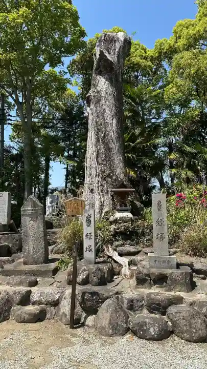 吉祥草寺(奈良県)