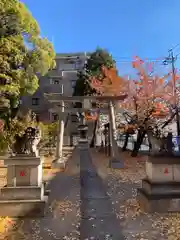 浅間神社(埼玉県)