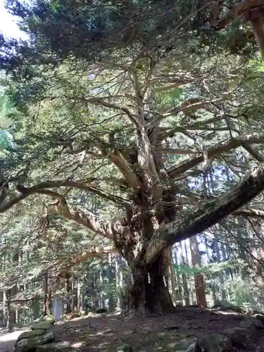 真山神社(秋田県)