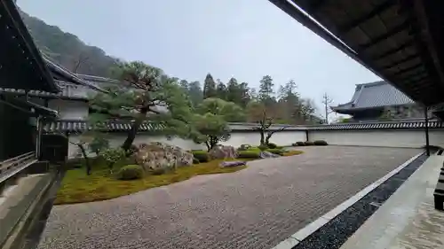 南禅寺の庭園