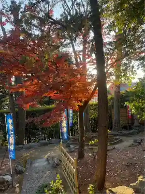 中野沼袋氷川神社(東京都)