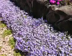 寿量山　速成寺の庭園