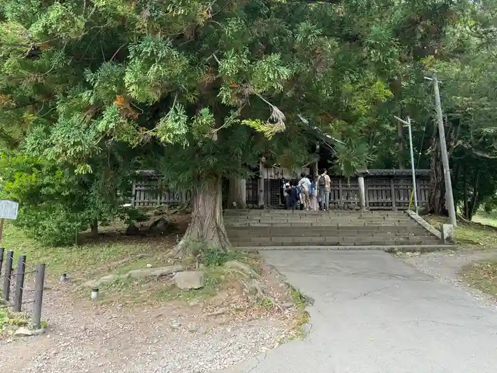 諏訪大社上社前宮(長野県)